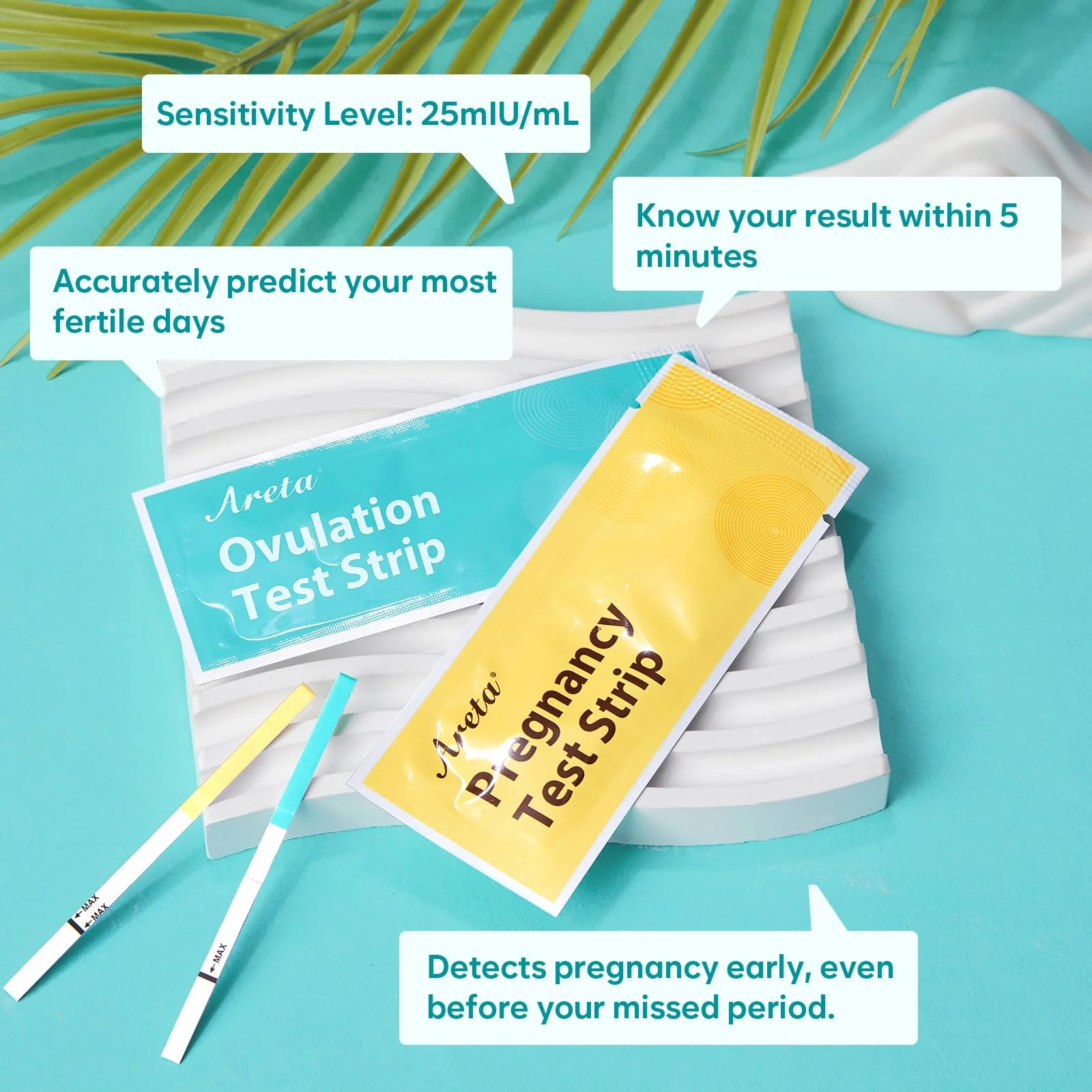 Areta Ovulation & Pregnancy Test Strips: 20 Ovulation Strips & 10 Pregnancy Tests Combo Kit | Accurate at-Home Fertility Tracker | Exd 11/24/2026 - Image 4