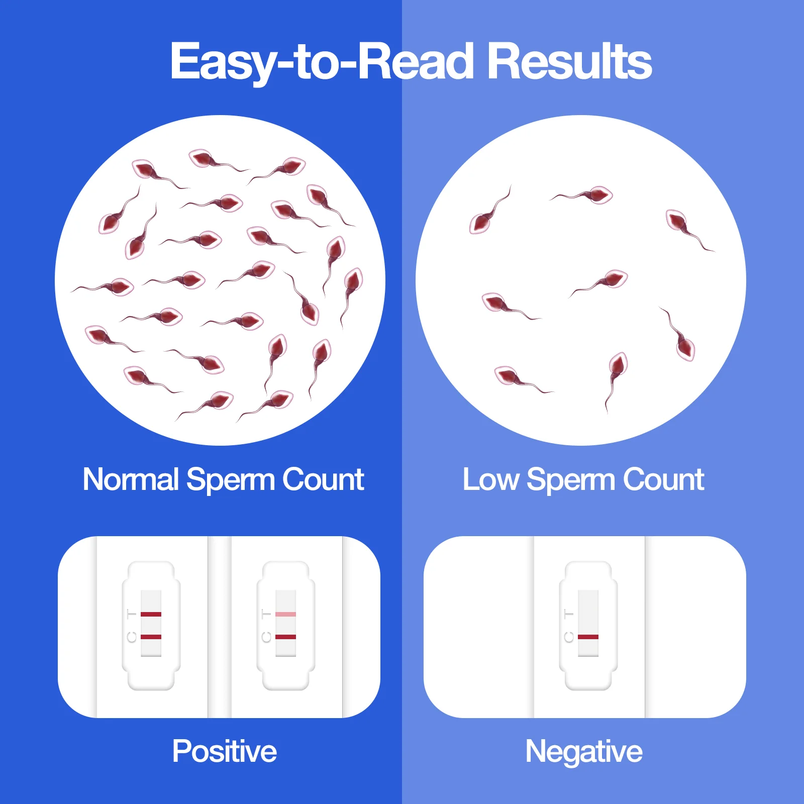 Easy@Home Male Fertility Sperm Test: Indicates Normal or Low Sperm Count | Convenient Accurate Private Semen Analysis for Men, 1 Pack - Image 3