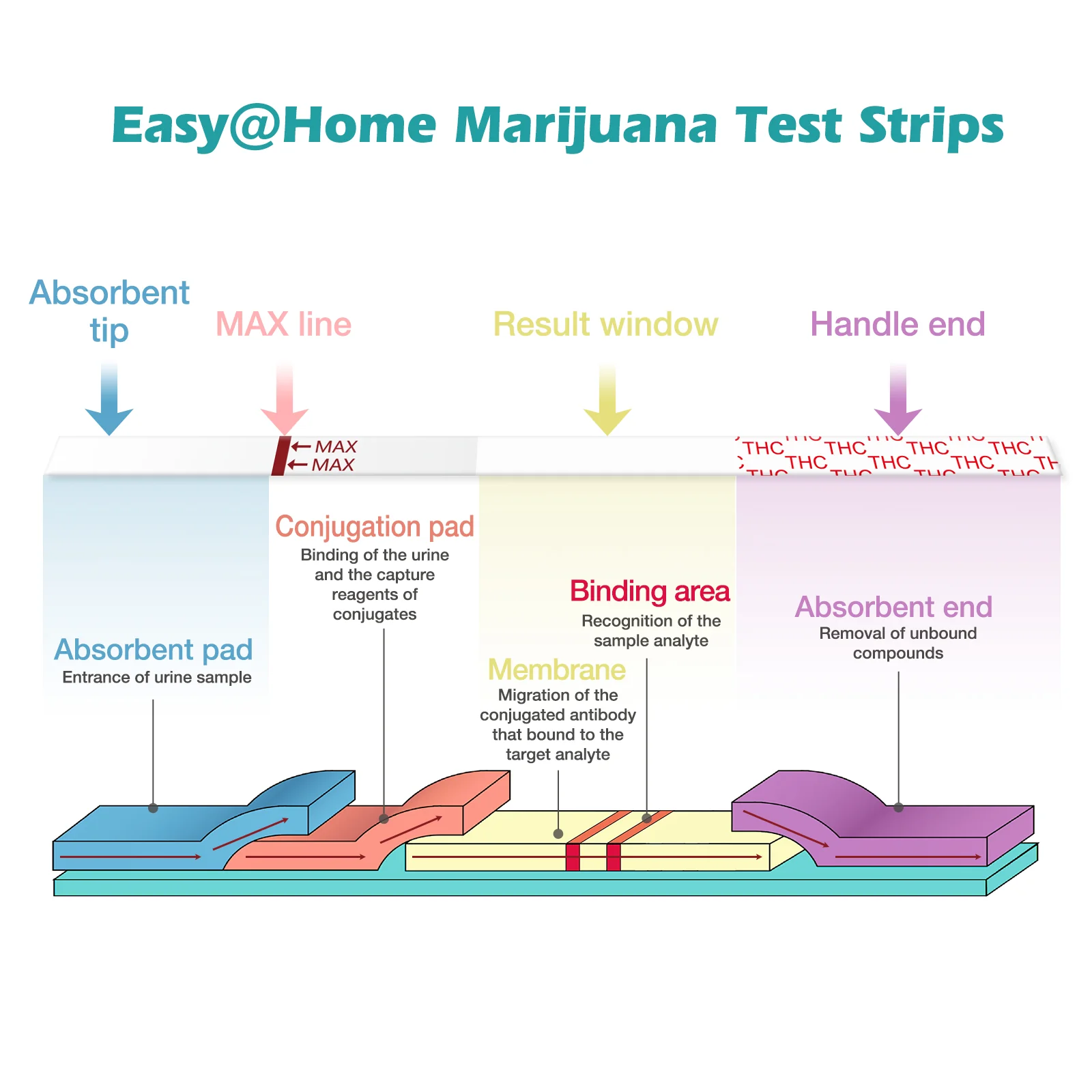 Easy@Home Marijuana Test Strips: THC Urine Drug Test Kit for At Home Over the Counter Use - Screens Metabolites of Drugs Containing THC with Cutoff Level 50ng/mL-Individually Wrapped 10 Pack #ESTH-115 - Image 6