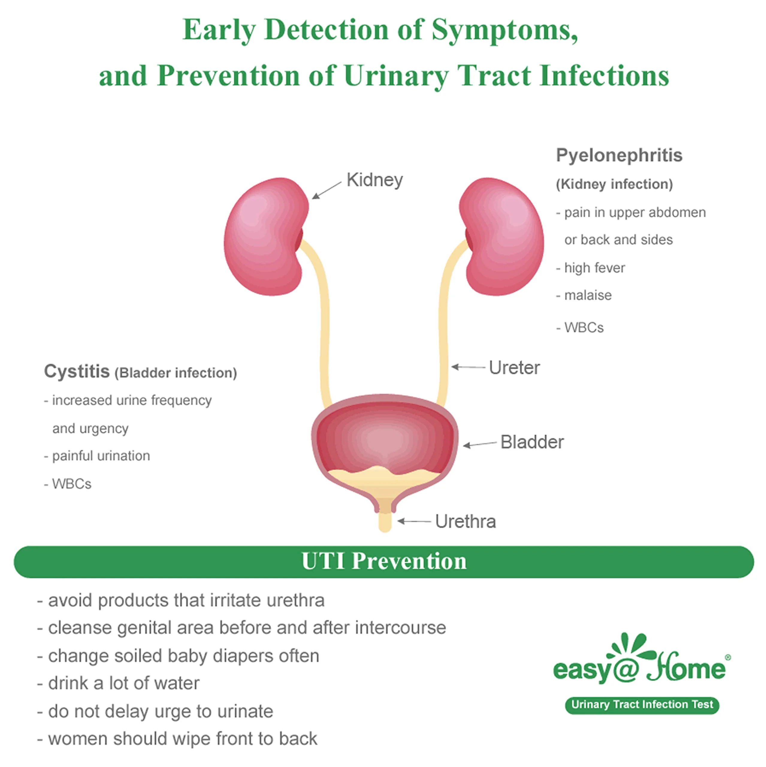 Easy@Home Urinary Tract Infection Test Strips 100 Pack, Individual Pouch UTI Urine Testing Kit for Urinalysis and Detection of Leukocytes and Nitrites (UTIPOUCH-100P) - Image 5