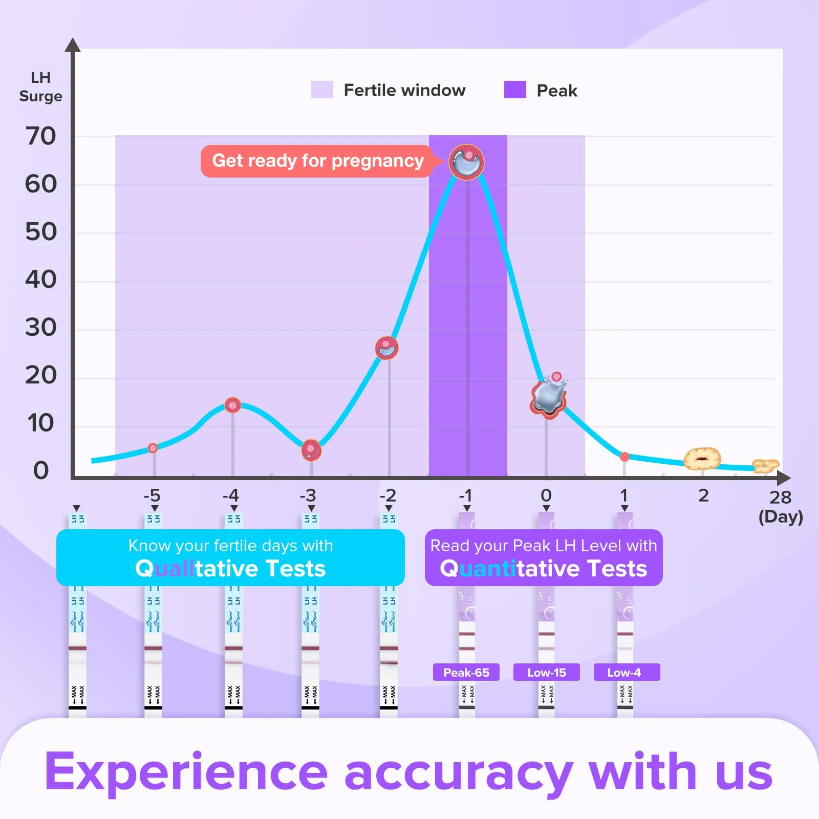 Premom Quantitative Ovulation Predictor Kit: 25 Ovulation Test Strips + 5 Pregnancy Test Strips Combo, with Smart Digital Ovulation Reader App - Accurate Numerical LH Tests - Image 8